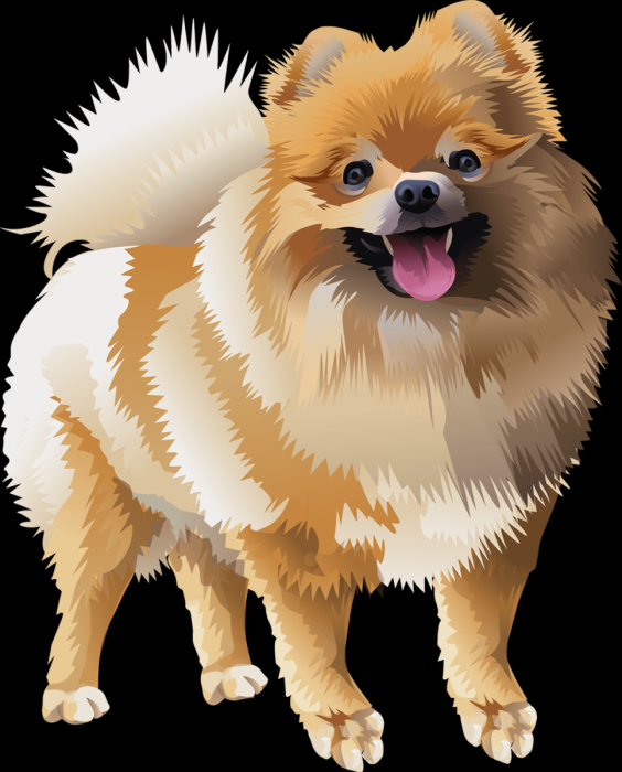 CARTOONIZEMYPET шпиц