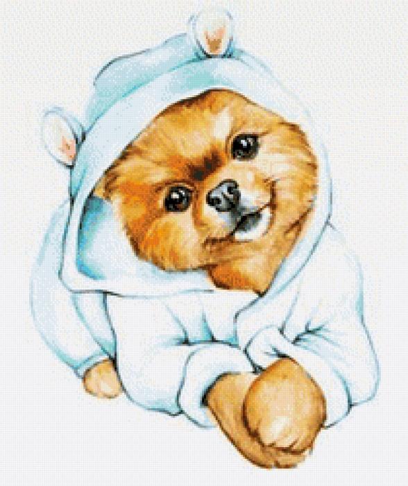 Мультяшные Шпицы милые