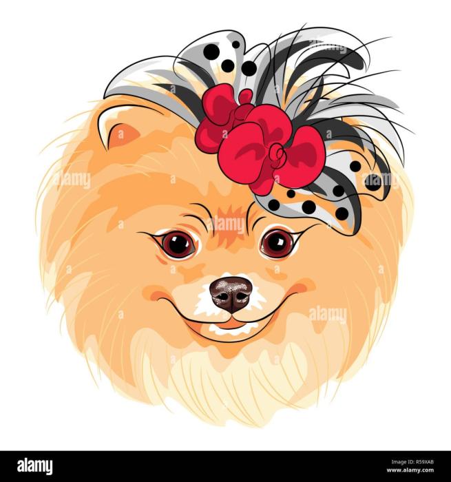 Векторное изображение шпица