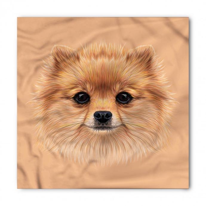 Нарисовать шпица