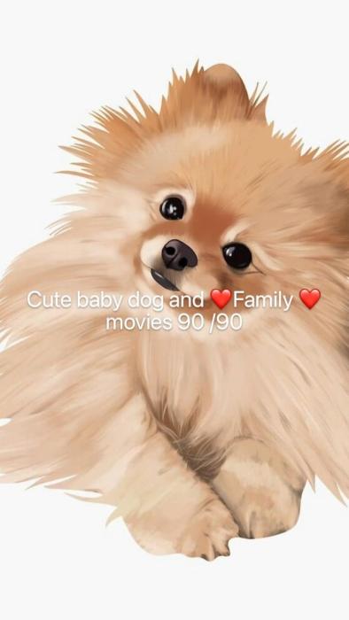 Собака шпиц рисунок карандашом