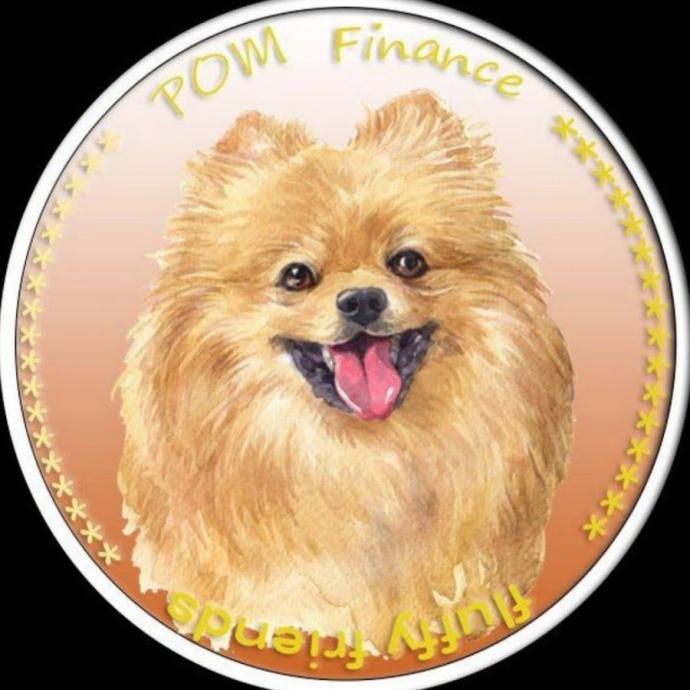 Собака шпиц портрет