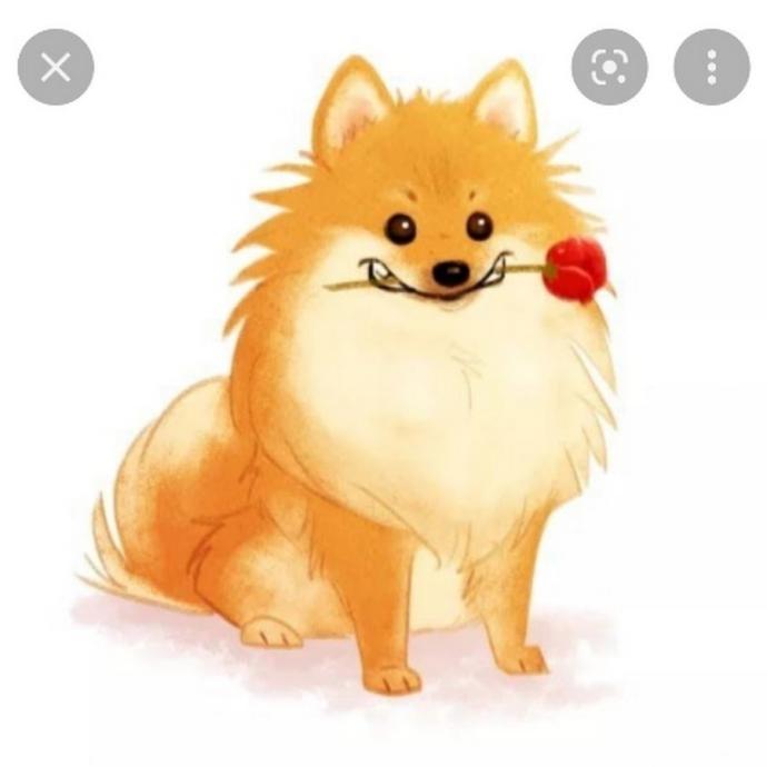 Шпиц мультяшный