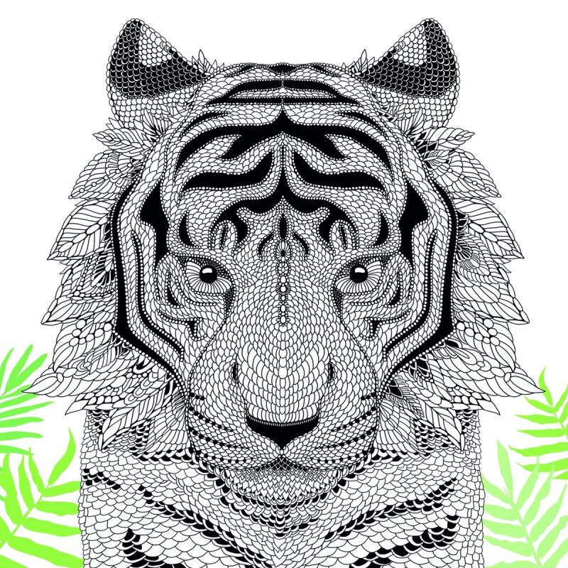 Раскраска антистресс тигр