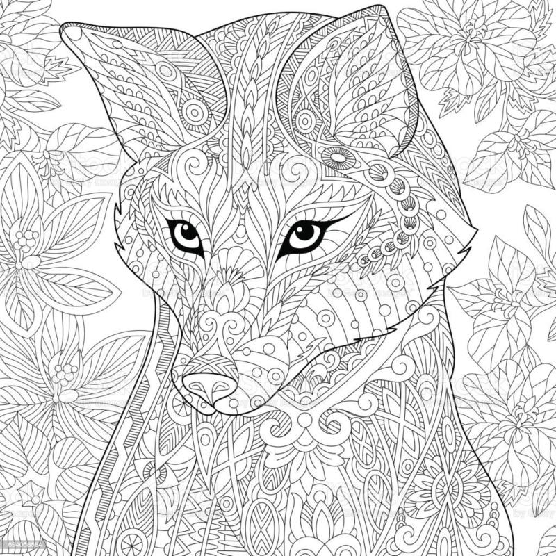 Раскраска антистресс лиса