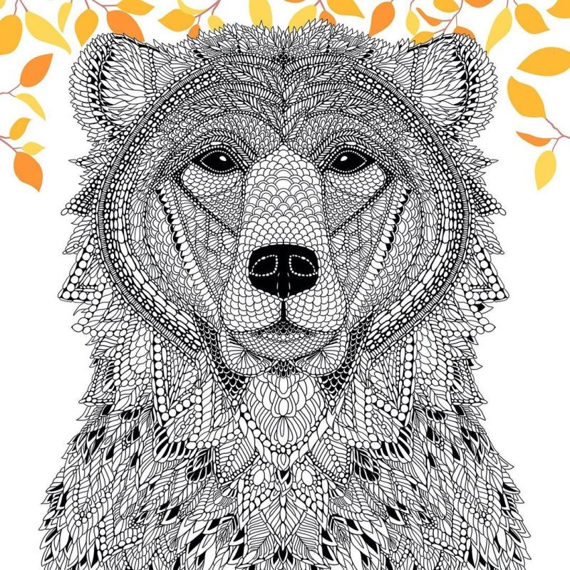 Лицо Графика