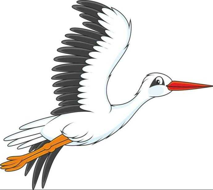 Бусел на белом фоне для детей