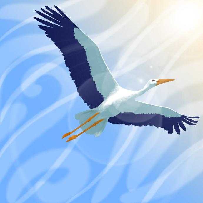 Белый Аист летит