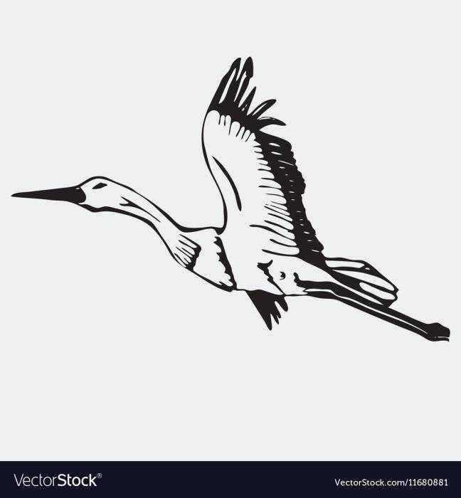 Аист вектор эскиз