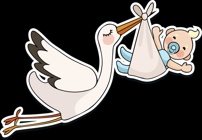 Аист с малышом