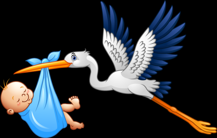 Аист с малышом