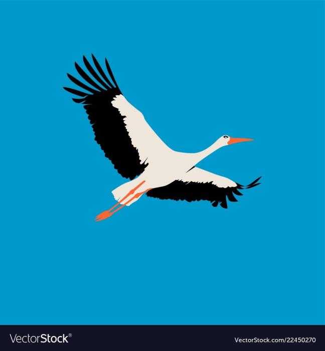 Аист картинка