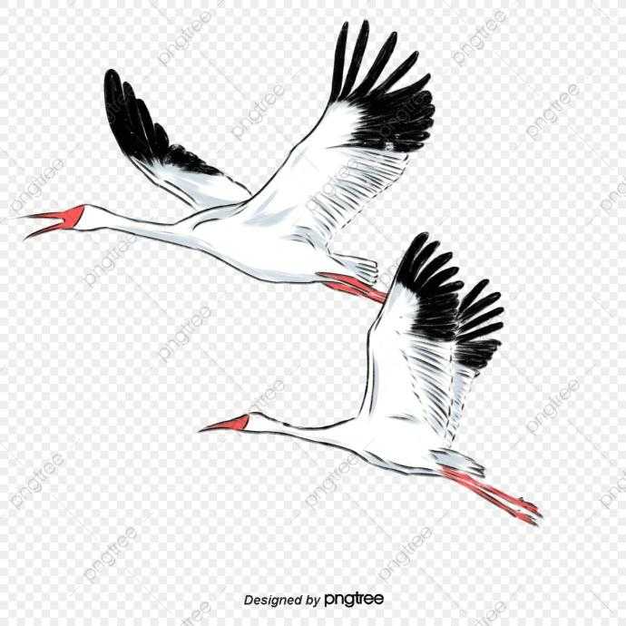 Летящий Аист нарисованный