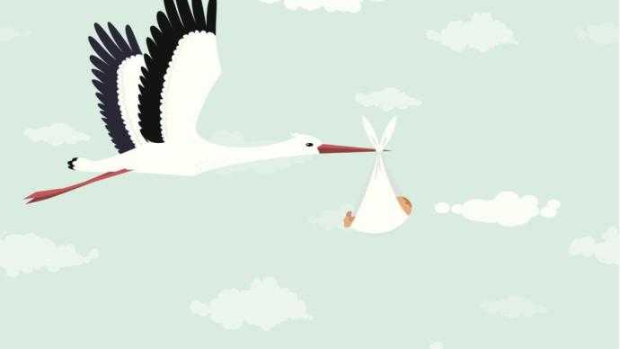 Фон с аистом