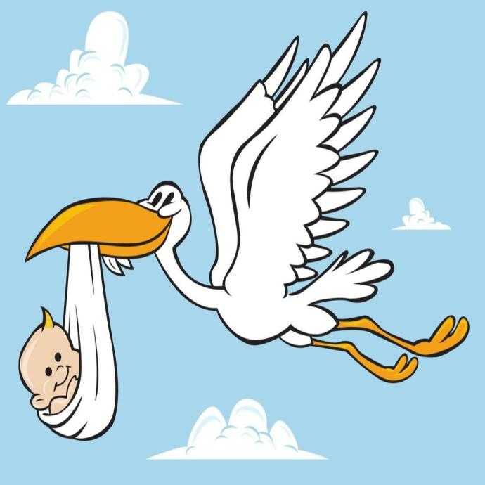 Аист скоро буду рисунок