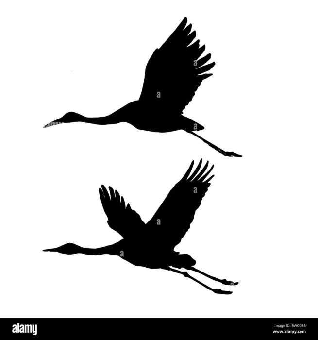 Силуэт аиста в полете
