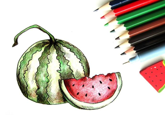 Арбуз рисунок карандашом