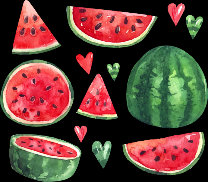 Арбуз вектор