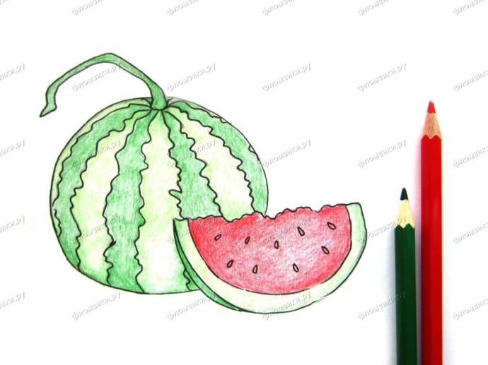 Арбуз для срисовки карандашом