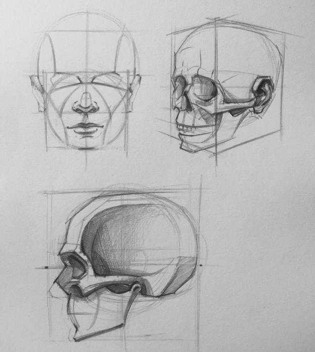 Череп набросок