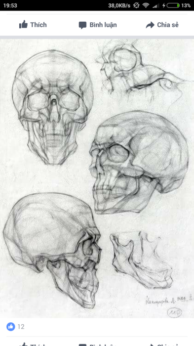 Череп человека модель рисования