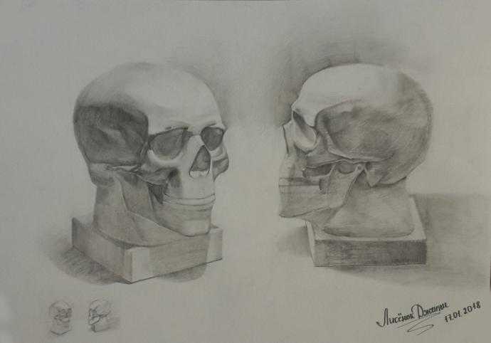 Готфрид Бамес обрубовка черепа