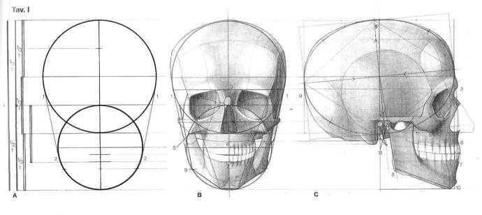 Обрубовка Баммес