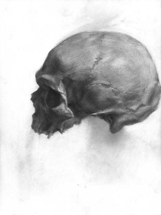 Череп человека Академический рисунок МАРХИ