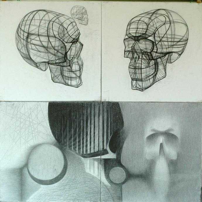 Череп Академический рисунок Николай ли