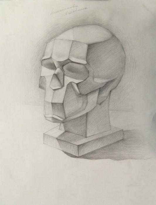 Череп академический рисунок79