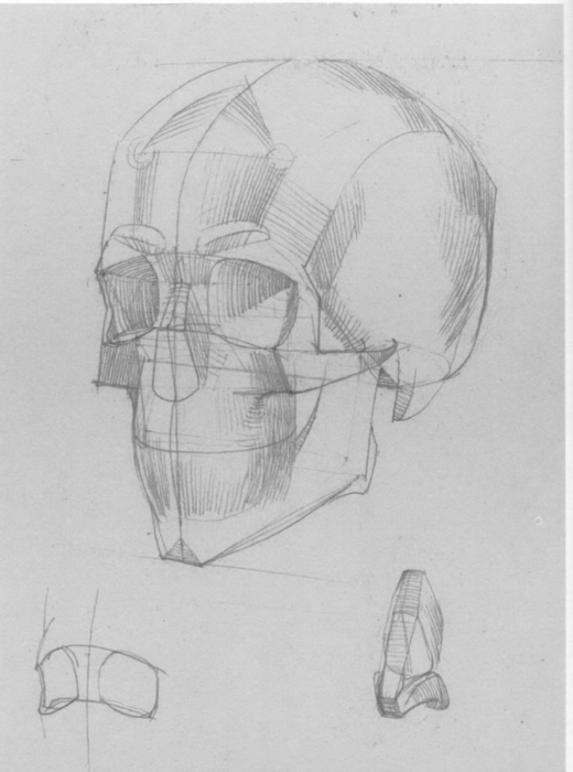 Баммес Готфрид голова человека