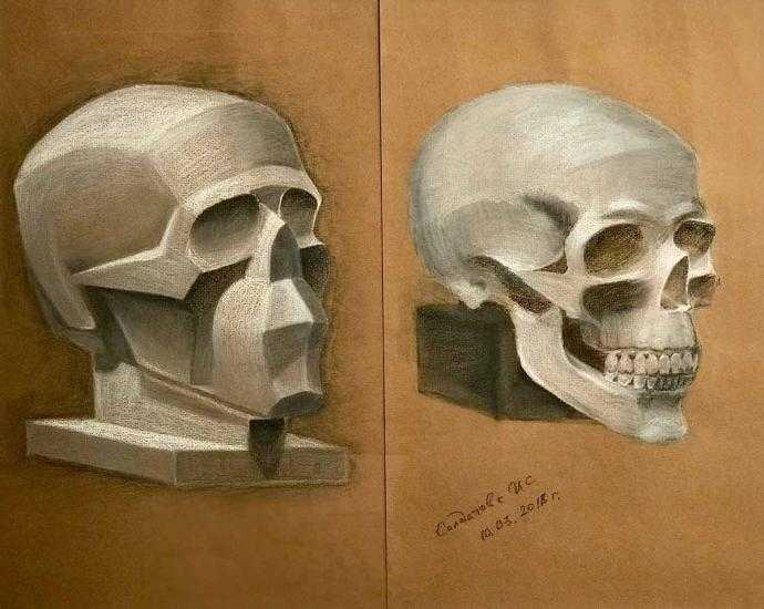 Череп рисунок