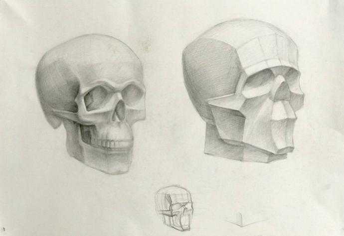 Трехмерное изображение черепа