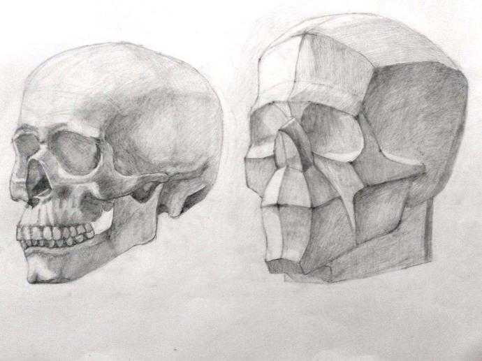 Череп Академия художеств Репина