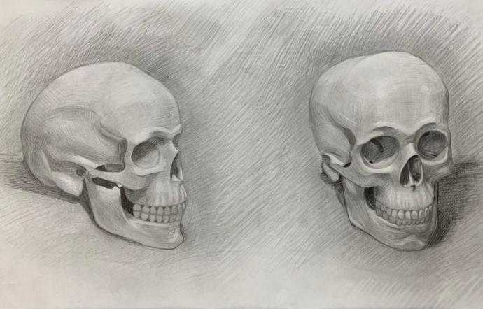 Череп упражнения для рисования