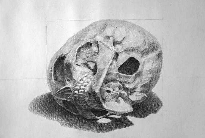 Череп анатомия Синельников