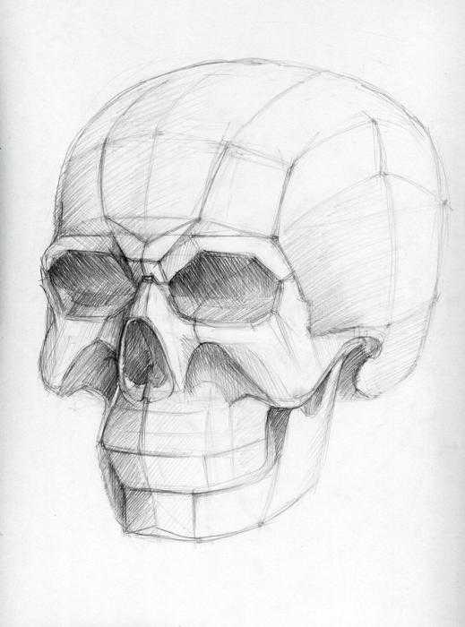 Обрубовка черепа