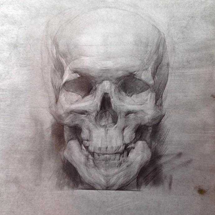 Череп Академический рисунок анфас