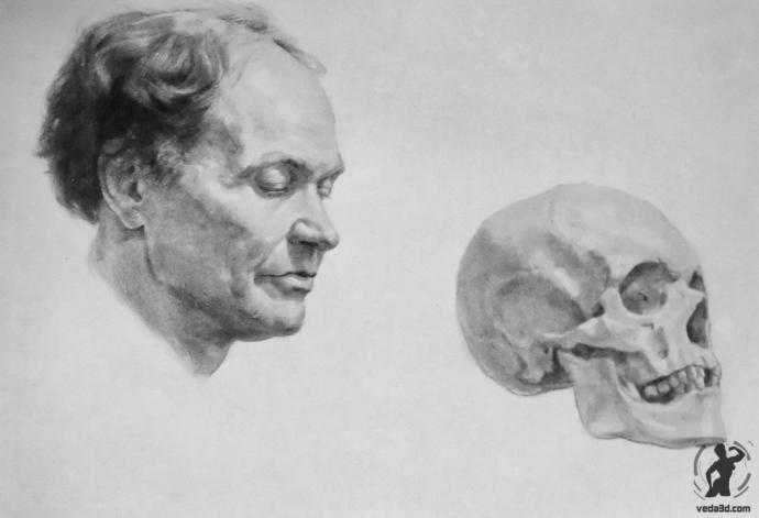 Череп академический рисунок80