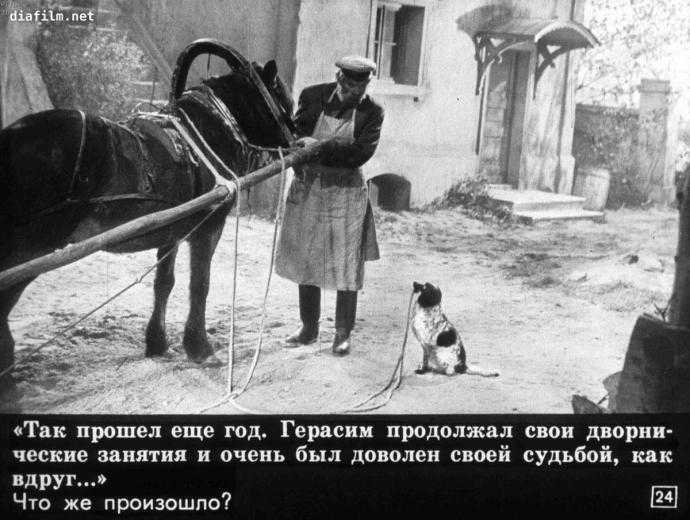 Пчелко Муму