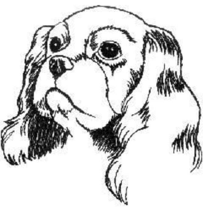 Гибель Муму