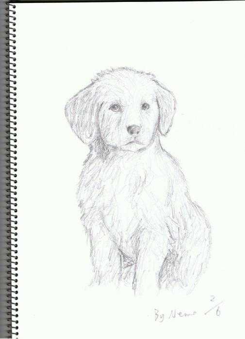 Цитаты из рассказа Муму