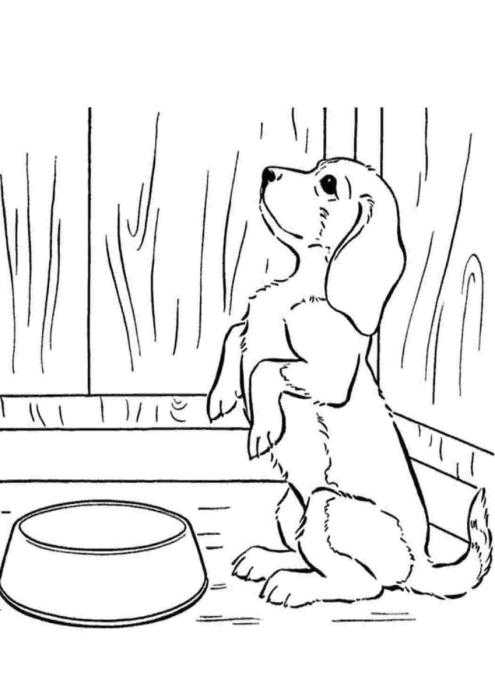 Гребец на лодке