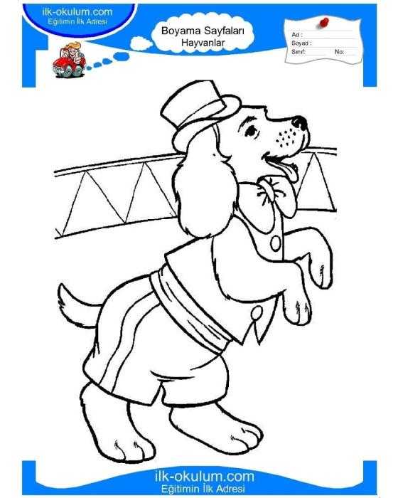 Так прошел еще год Муму