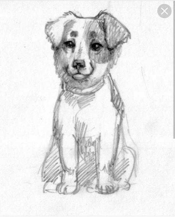 Муму Герасим Пчелко