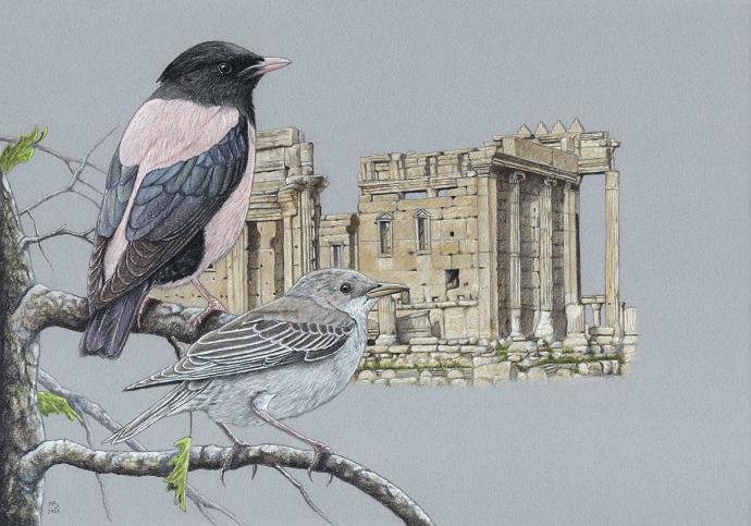 Скворечник иллюстрация