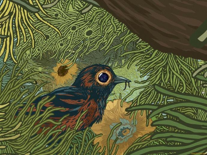 Иллюстрации к скворцы Белову