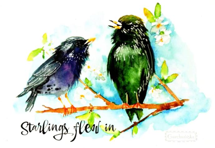 Скворец арт