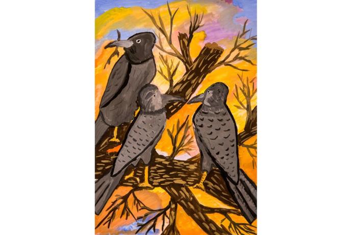 Розовый скворец рисунок