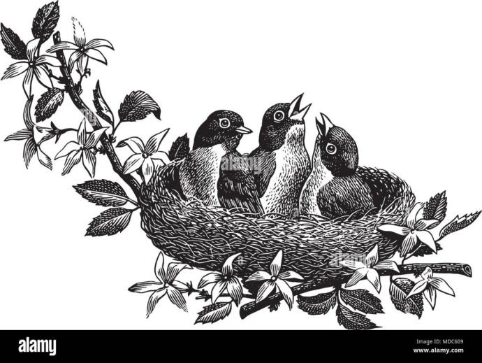 Обыкновенный скворец самка